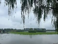 -白洋淀风景区