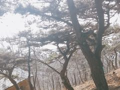 -沂蒙山旅游区龟蒙景区