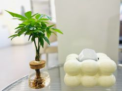 -1R日式轻奢美睫美甲翘睫