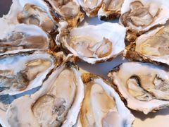 -千岛蚝高压锅生蚝·人参火锅(白云万达店)