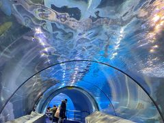 -太平洋海底世界