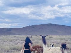 -新疆天山野生动物园