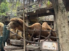 -长鹿旅游休博园