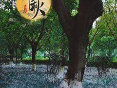 -沙河三洞古桥公园