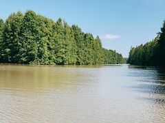 -上海海湾国家森林公园