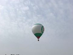 -秀丽东方