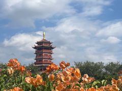 -厦门园林博览苑