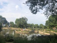 -鹅湖玫瑰文化园