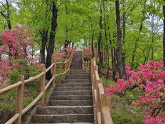 -西泰山风景区