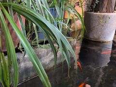 -夹夹大·蟹蟹大排档(财富又一城店)