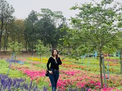 -天适樱花悠乐园