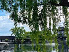 -无锡蠡湖国家湿地公园-蠡园