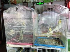 -万商花鸟市场