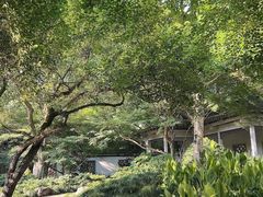 -杭州植物园