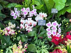 -北京植物园-展览温室