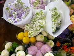 -桂林市花鸟市场