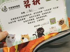 -守诺宠物医院·眼科· 特色牙科·异宠专科(虹口店)