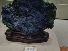 -北京中医药大学-中医药博物馆