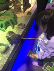 -未来动物城主题公园(正弘城店)