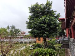 -莆田南少林寺