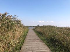 -盐城丹顶鹤湿地生态旅游区