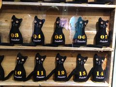 -猫咪博物馆(顶澳仔猫街店)