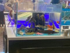 -SEA西雅图海鲜自助餐厅(海乐世界店)