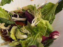 -大鸭梨烤鸭店(光彩店)