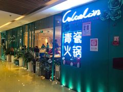 -青瓷火锅料理(西单大悦城店)
