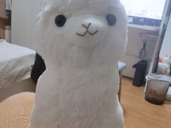 -LLJ夹机占(清河万象汇店)