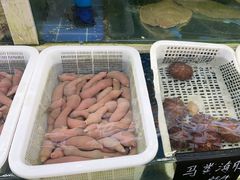 -常家活海鲜小吃(仅一家无分店)