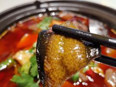 全家福毛血旺-马旺子酒楼