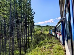 -莫尔道嘎国家森林公园