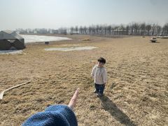 -天津东丽湖风景区