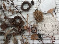 -北马山庄植趣咖啡