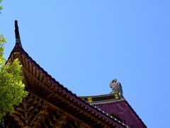 -红梅公园