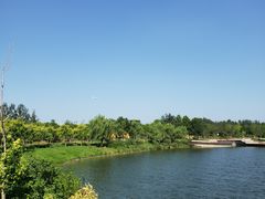 -东郊湿地公园