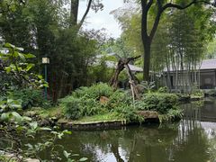 -南山植物园