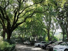 -杭州香格里拉饭店