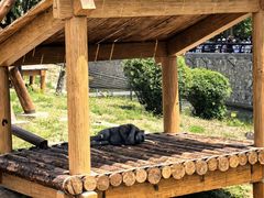 -石家庄市动物园