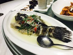 -黛瓦里巷(南京东路店)