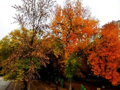 -元大都城垣遗址公园