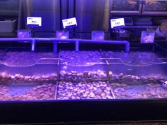 -韩盛·盛江山自助料理(中街大悦城店)