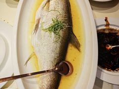 -席家花园(巨鹿花园店)