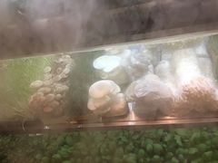 -鲜货俚鲜火锅(青果路店)