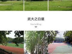-武汉大学-樱园
