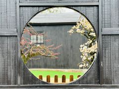 -香雪海