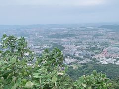 -紫金山山顶公园