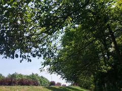 -桤木河湿地公园