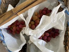 -马陆小张葡萄园农家乐